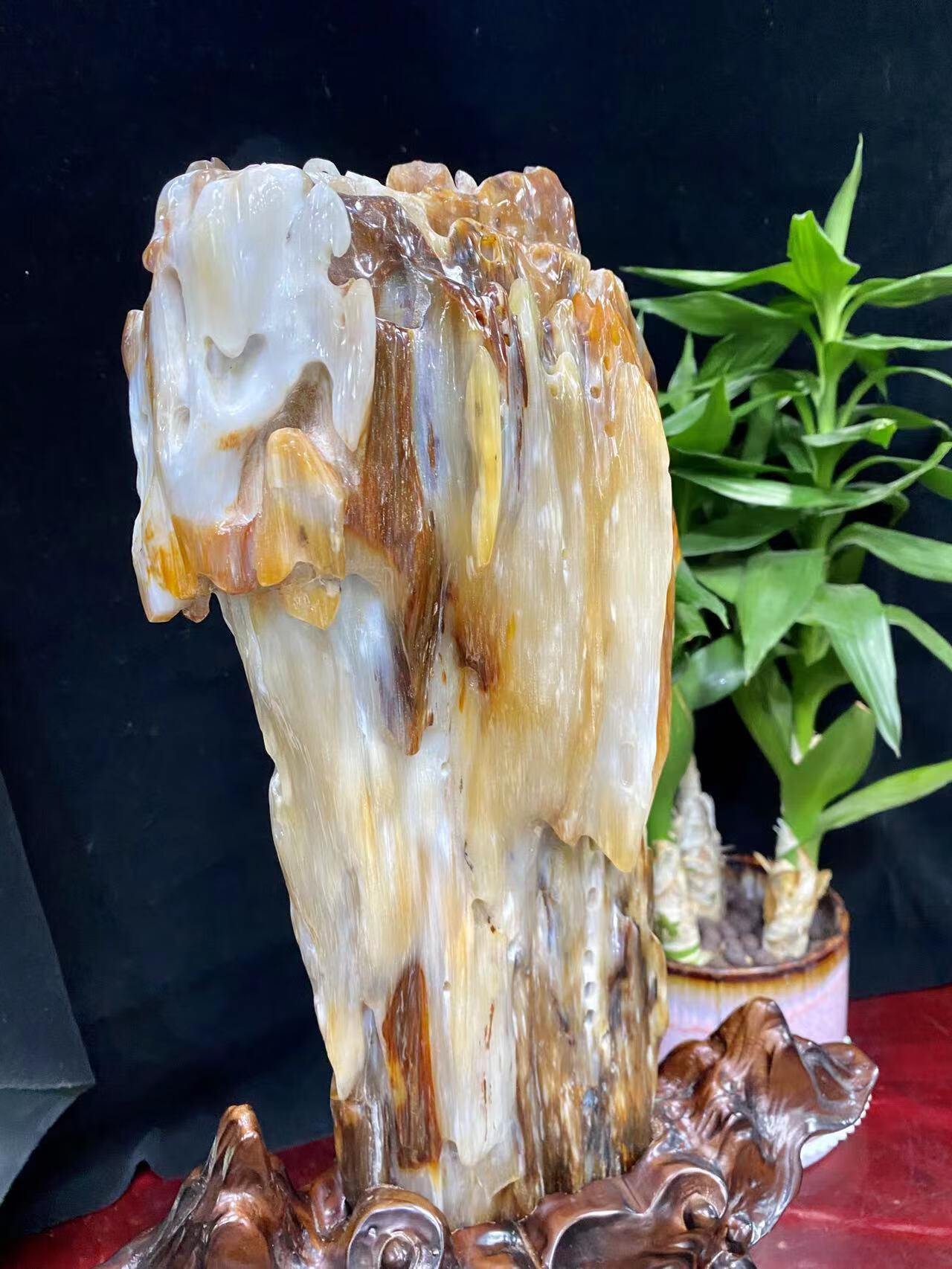 标的10：缅甸树化玉，带底座重量10公斤