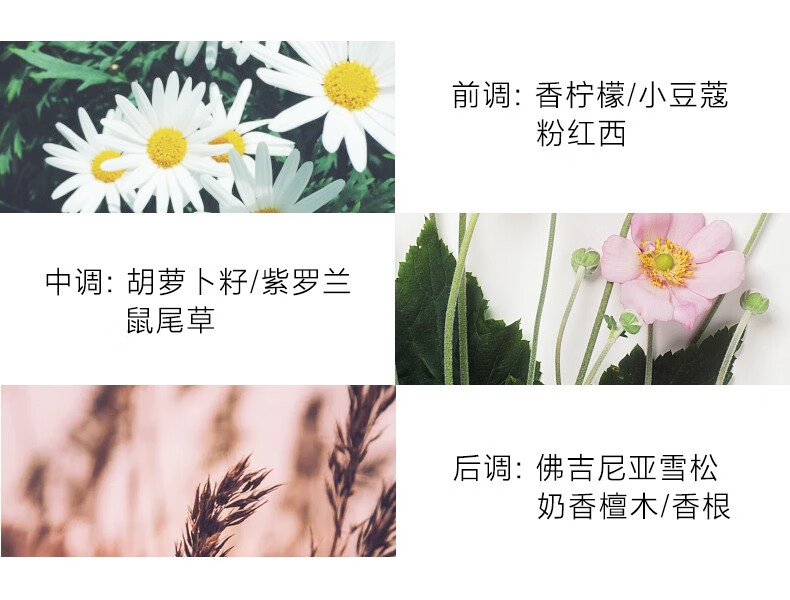 芬尚香水生人勿近沙龙标签系列香水清新学生少女学生香水 生人勿近