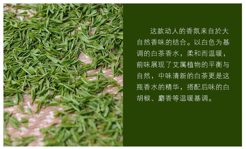 宝格丽（BVLGARI）【520礼物】白茶 铭珍 男士女士中性 古龙水香水白茶香水送朋友 白茶香水EDC75ML