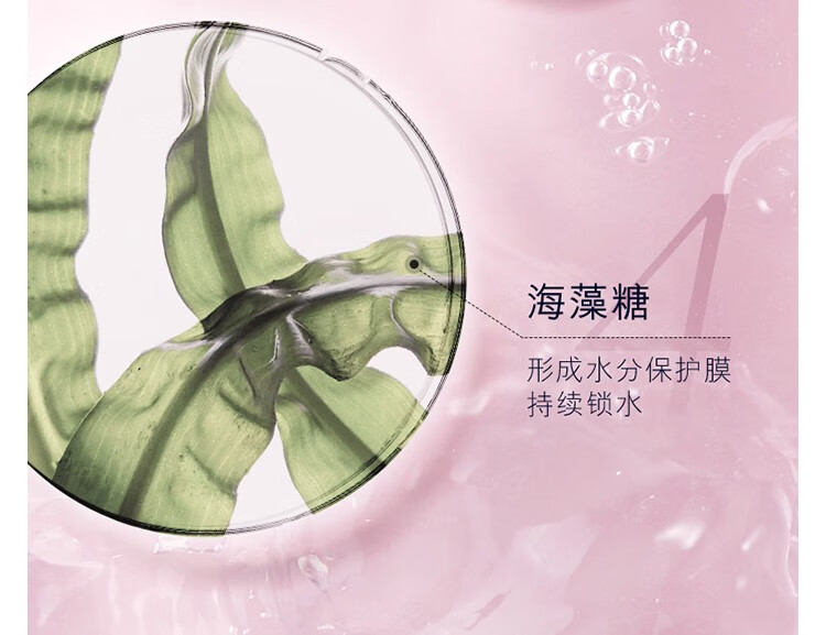 雅诗兰黛（Estee Lauder） 保湿柔肤水爽肤水 补水保湿修护舒缓护肤品 400ml