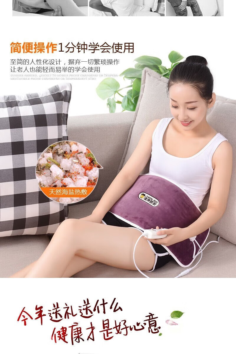 菲脂其他美妆工具 粗盐电加热理盐袋子艾草热敷包驱寒祛湿排寒 高低档控温(配艾草药包) 1个