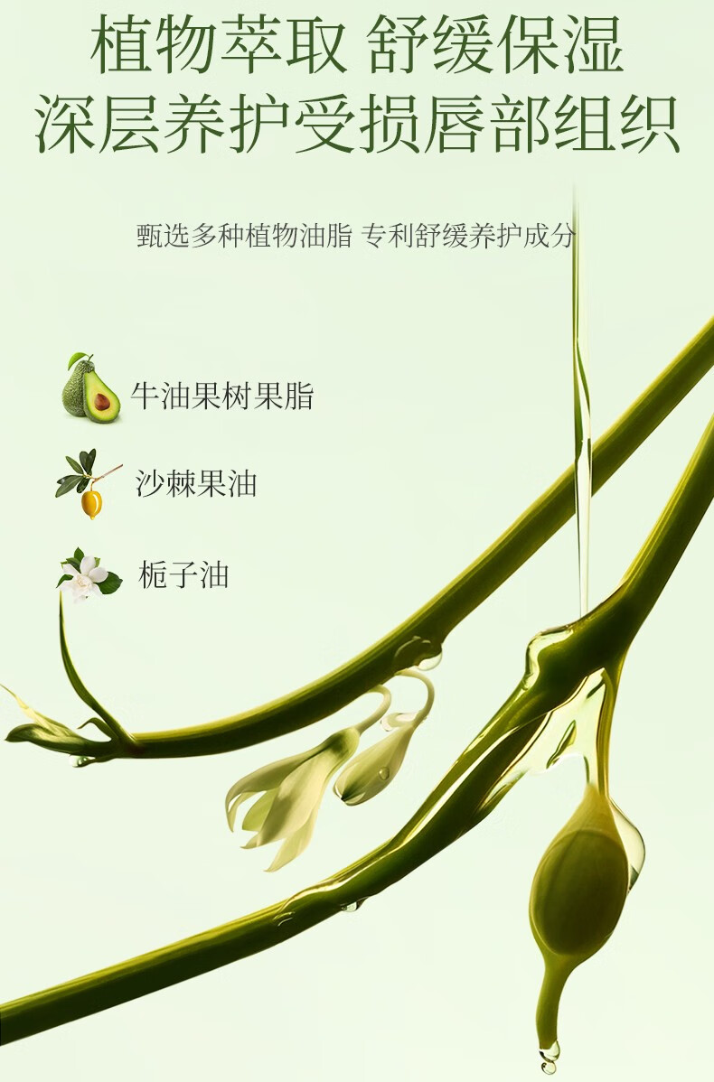 植物主义唇膜唇部精华护理护唇磨砂润唇膏去死皮角质淡化唇纹秋冬必备 牛油果滋润淡纹唇膜
