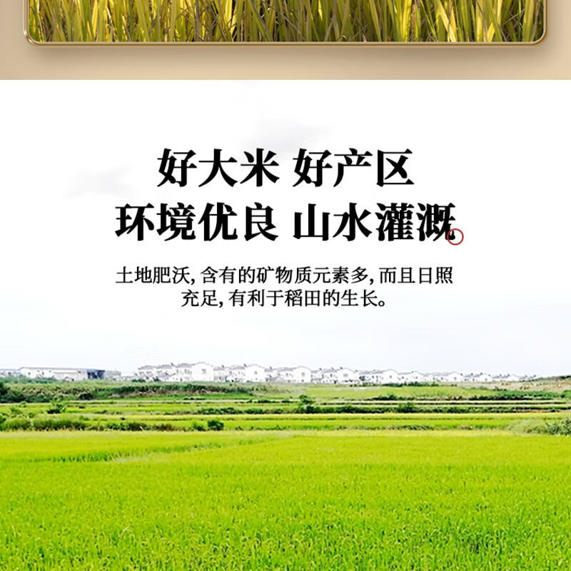 天助  原生态虾稻米大米湖北大米优质虾稻米长粒香米非真空包装 原生态虾稻米5KG