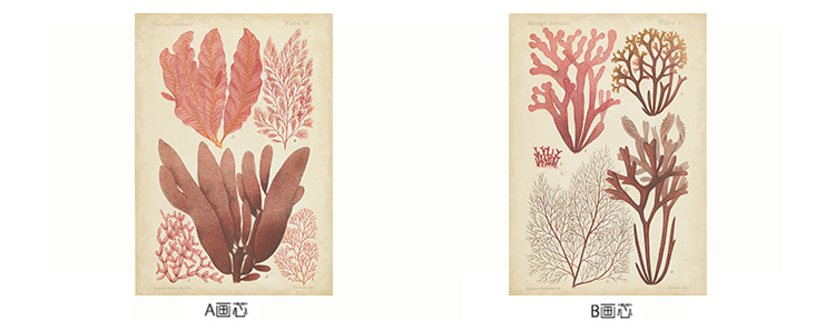 时黛 美式客厅装饰画有框 沙发背景墙画餐厅壁画玄关挂画卧室床头画 珊瑚海 SD088 6折 哑光棕色木纹A画芯75*105