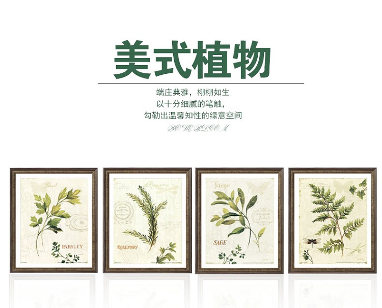 名帛 现代简约美式客厅装饰画沙发背景墙装饰画卧室风景画玄关挂画餐厅壁画植物有框画欧式植物画 C款 进口画芯