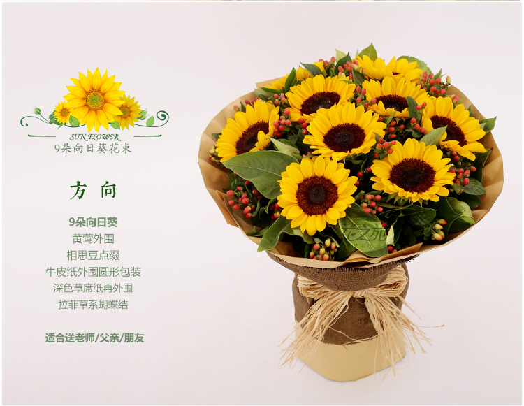 花之苑 鲜花速递 向日葵花束北京广州花店送花全国鲜花配送 6朵向日葵