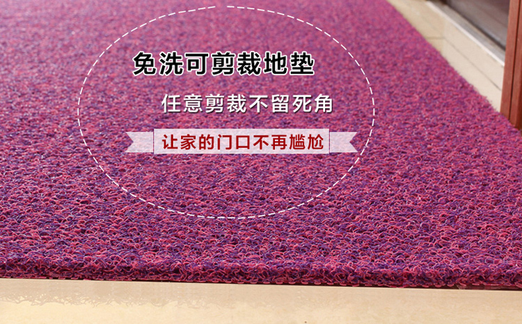 
                                        真彩 免洗可剪裁进门地垫塑料门垫入户进门垫家用丝圈防滑脚垫 玫红紫双色 40*60cm                