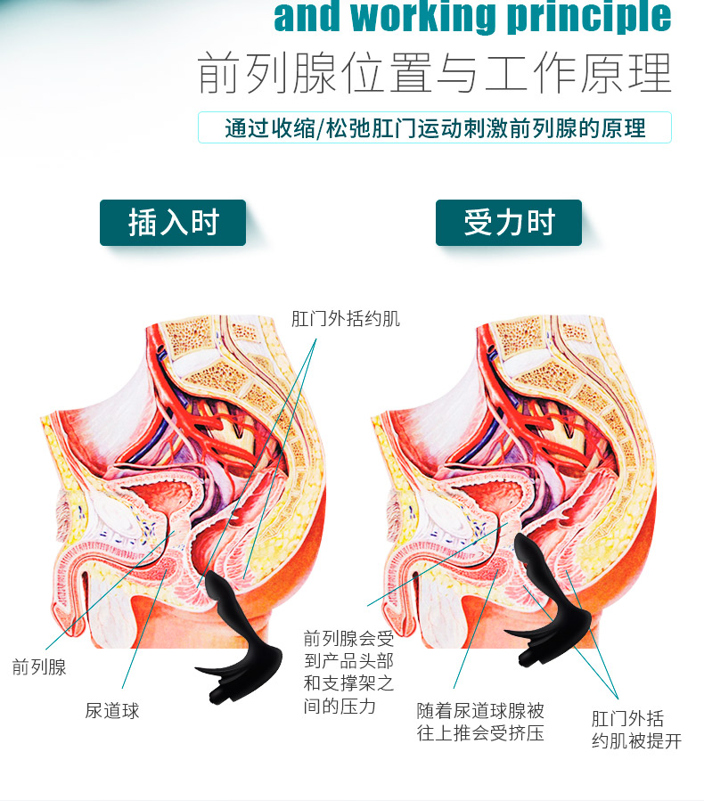 谜姬前列腺按摩器 男用后庭肛塞久潮海洋 多频震动按摩器 成人用品