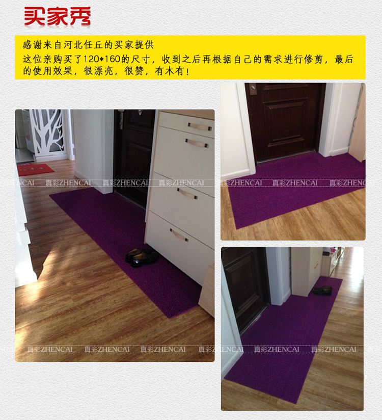 
                                        真彩 免洗可剪裁进门地垫塑料门垫入户进门垫家用丝圈防滑脚垫 玫红紫双色 40*60cm                