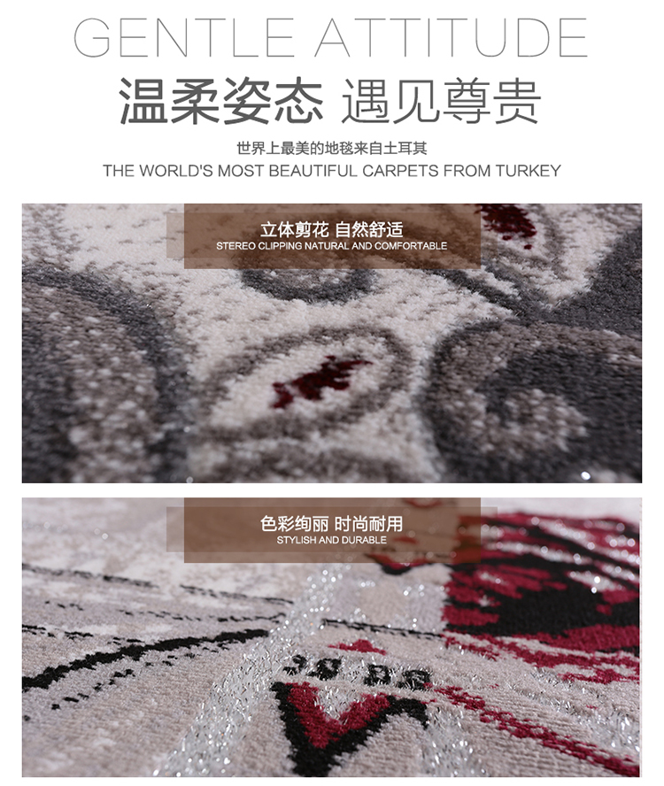 秀宁地毯欧式茶几地毯客厅卧室地毯床边毯书房餐厅地毯土耳其进口娜姿 似水流年 0.6x0.9米