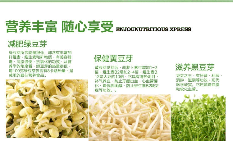 1 微品多全自动四季家用智能双层豆芽机 多功能生豆芽机商用家用生日礼物 创意礼品送长辈
