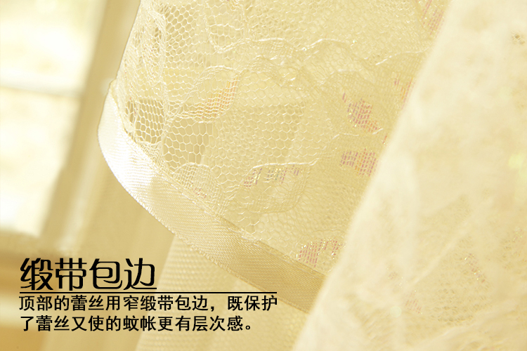 碧驰家纺 蚊帐 吊顶式蚊帐圆顶落地 公主蚊帐宫廷式蕾丝子母床加密加大 Y150紫