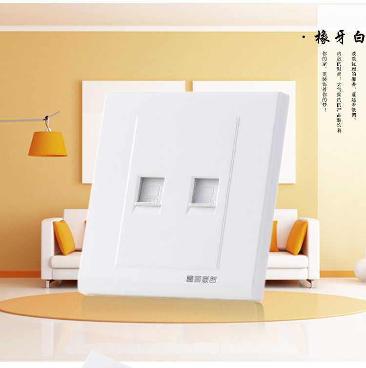 鑫硕联创两位双电脑网线插座 S52系列面板 雅白S600