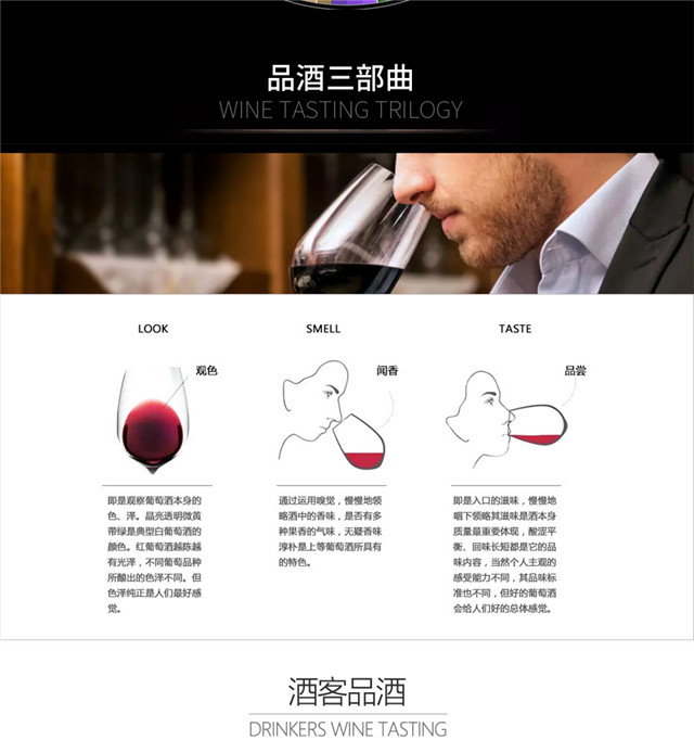 帝菲堡 法国原装红酒 原瓶进口干红葡萄酒750