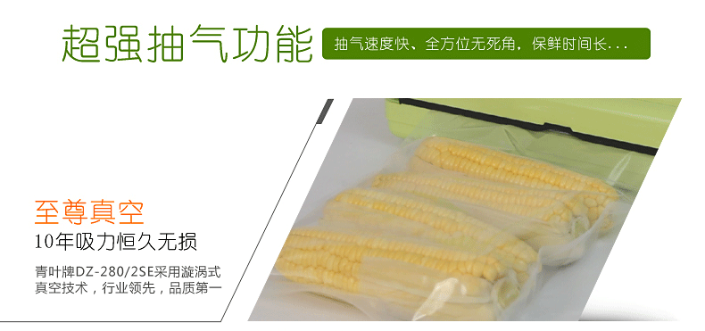 青叶牌DZ-280/2SE干湿两用抽真空机家用真空机包装机 小型真空封口机 食品真空包装机