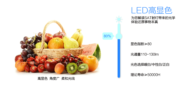 SAT照明圆规系列LED轨道射灯 导轨灯全套大功率服装店铺珠宝展厅橱窗灯 40W暖黄光 白色 嵌入式射灯
