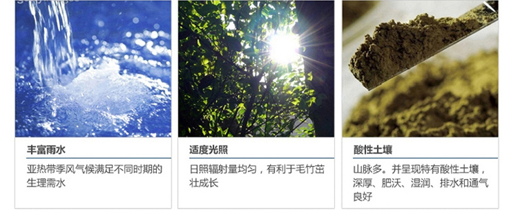 
                                        漫晴 床垫床褥子加厚透气6cm竹炭纤维学生床垫褥单人双人防滑可折叠榻榻米 纵情驼色 150cm*200cm                