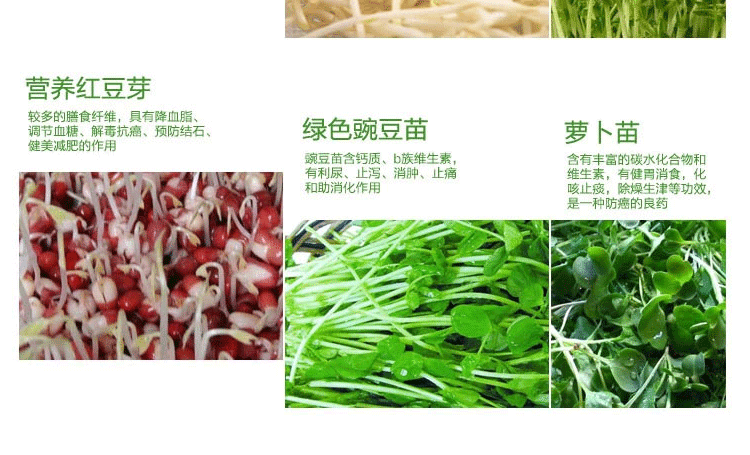 1 微品多全自动四季家用智能双层豆芽机 多功能生豆芽机商用家用生日礼物 创意礼品送长辈