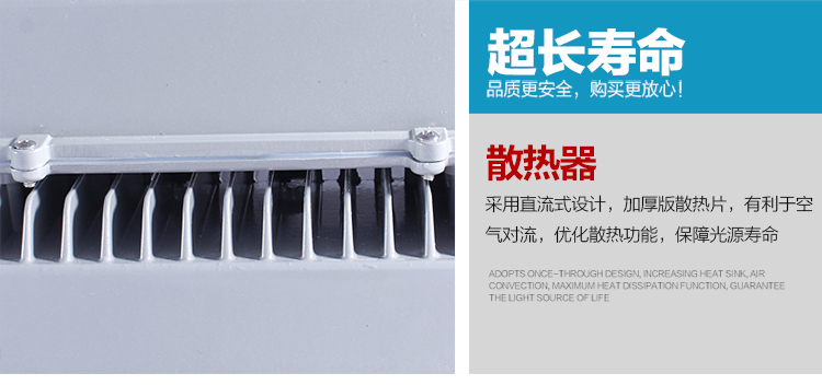 
                                        温漫led投光灯20w30w50w100w户外投射泛光灯广告灯照明灯防水 正白光 100W                