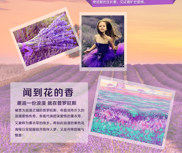 北极绒床品家纺 金貂绒毛毯子秋冬保暖单双人办公室午休盖毯 普罗旺斯 120*200cm