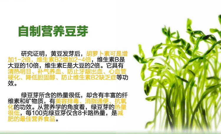 1 微品多全自动四季家用智能双层豆芽机 多功能生豆芽机商用家用生日礼物 创意礼品送长辈