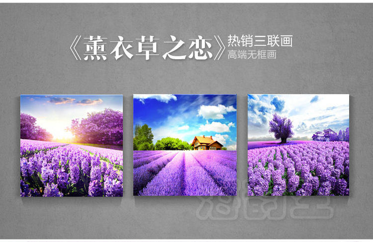 
                                        海韵生 沙发背景墙画挂画客厅现代装饰画餐厅壁画仿油画海边无框画版画三联画家居画风景画 湖光秋色 70*70*3                