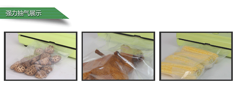 青叶牌DZ-280/2SE干湿两用抽真空机家用真空机包装机 小型真空封口机 食品真空包装机