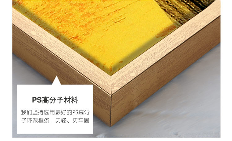 时黛 现代简约装饰画 餐厅挂画 有框画客厅沙发背景墙画卧室壁画 琵琶之音SD085 6折 简约银框A款152*42