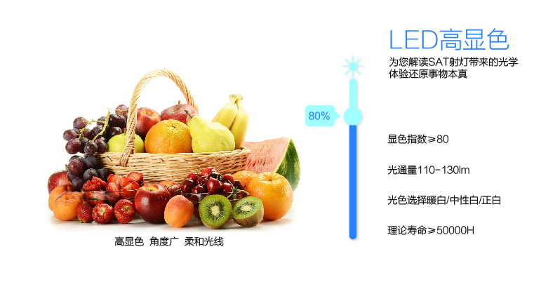 SAT照明为而普系列 特价促销 LED家居灯天花射灯双头方形开孔7-8cm3W×2特价！ 银色 3W*2正白光
