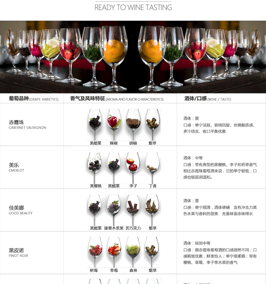 帝菲堡 法国红酒 原瓶进口 蒂菲堡干红葡萄酒7