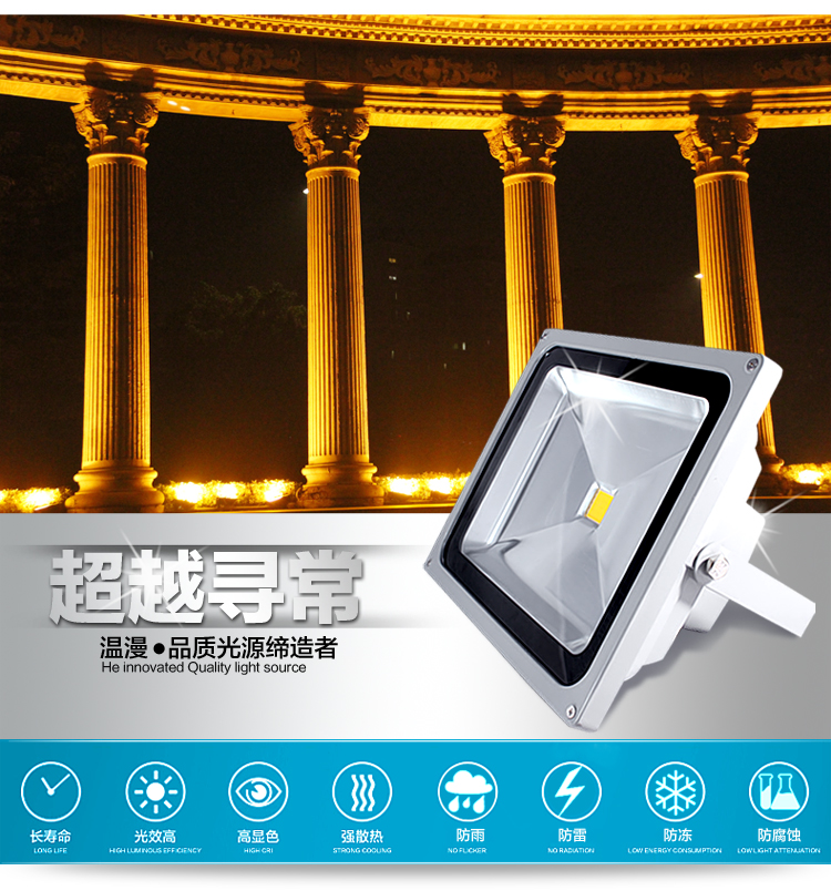 
                                        温漫led投光灯20w30w50w100w户外投射泛光灯广告灯照明灯防水 正白光 100W                