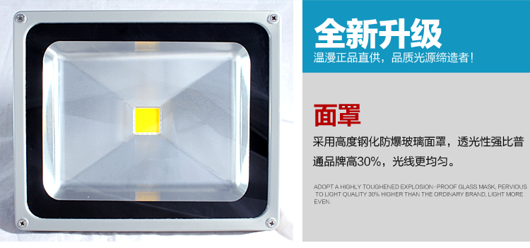 
                                        温漫led投光灯20w30w50w100w户外投射泛光灯广告灯照明灯防水 正白光 100W                