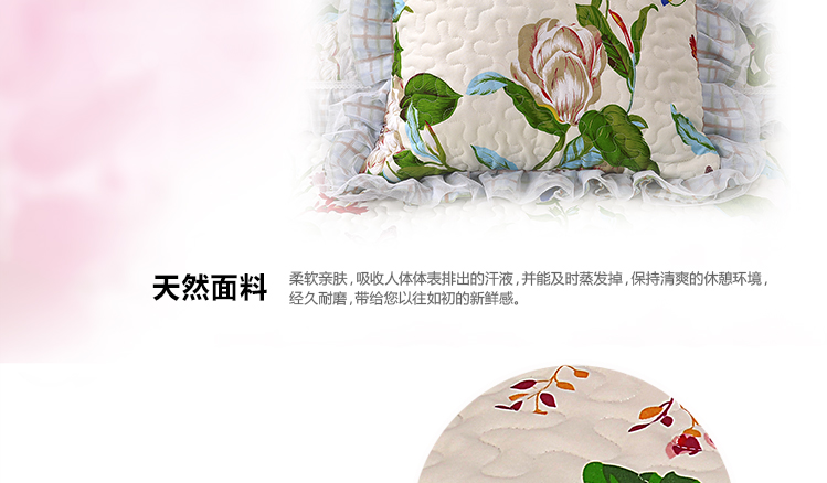 依米花家纺  沙发垫布艺四季通用真皮沙发垫 韩版蕾丝双面坐垫防滑贵妃垫 拜城日记 韩版花边55*55cm靠垫套