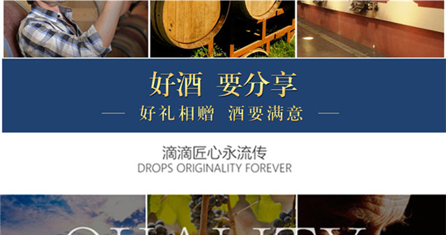 帝菲堡 法国原装红酒 原瓶进口干红葡萄酒750