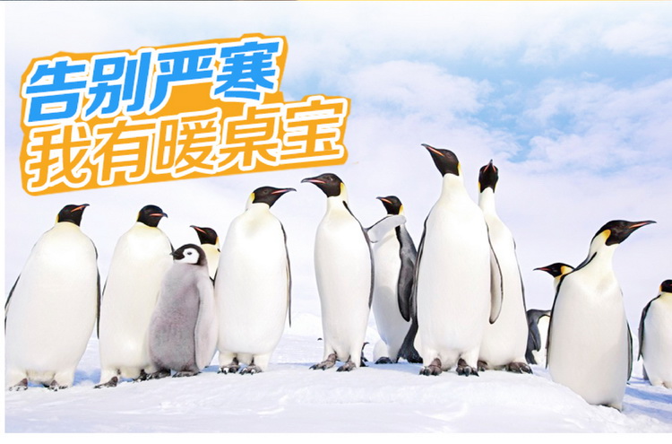 昕科发热垫 暖桌垫暖桌宝 桌上暖垫 升级款 豪华棕