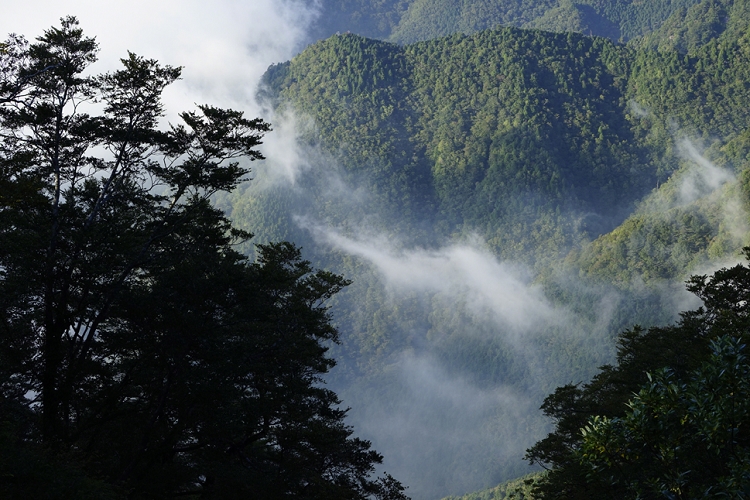 索尼(SONY)a7R\/ILCE-7R(FE35mmF2.8 ZA)套