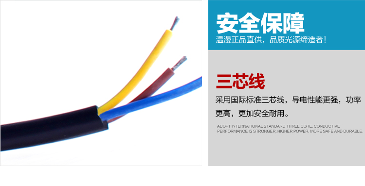 
                                        温漫led投光灯20w30w50w100w户外投射泛光灯广告灯照明灯防水 正白光 100W                