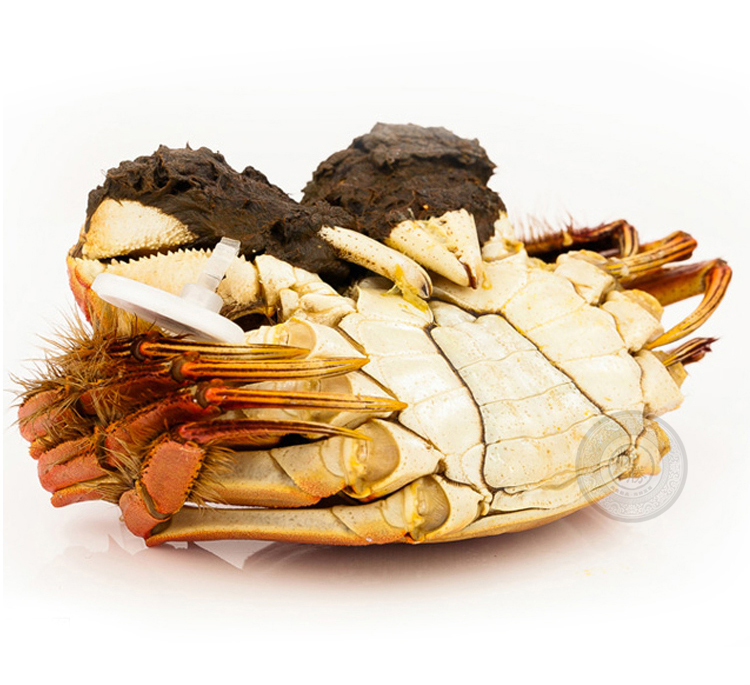 大闸蟹10只出口优质装礼券868型 广州深圳佛