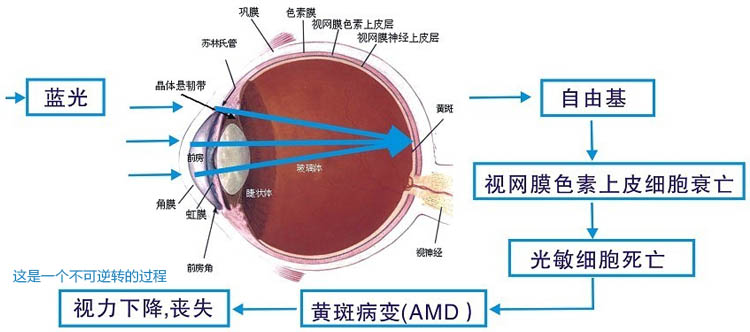 Careeye台灯创意LED灯无蓝光七彩氛围学习护眼台灯SUN-803