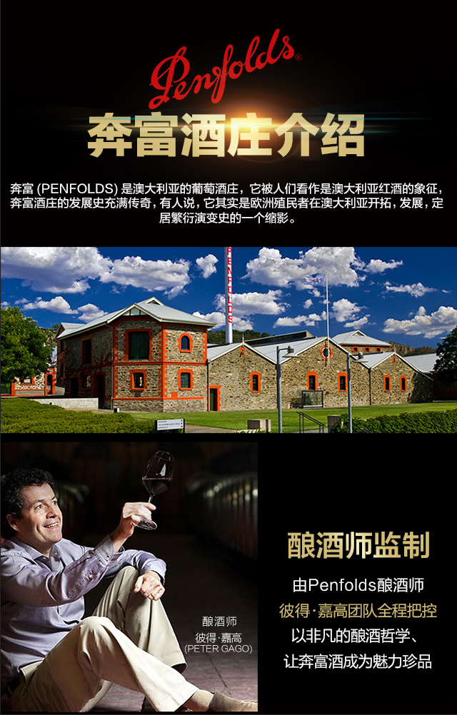 奔富BIN系列红酒 澳洲原瓶进口干红葡萄酒750