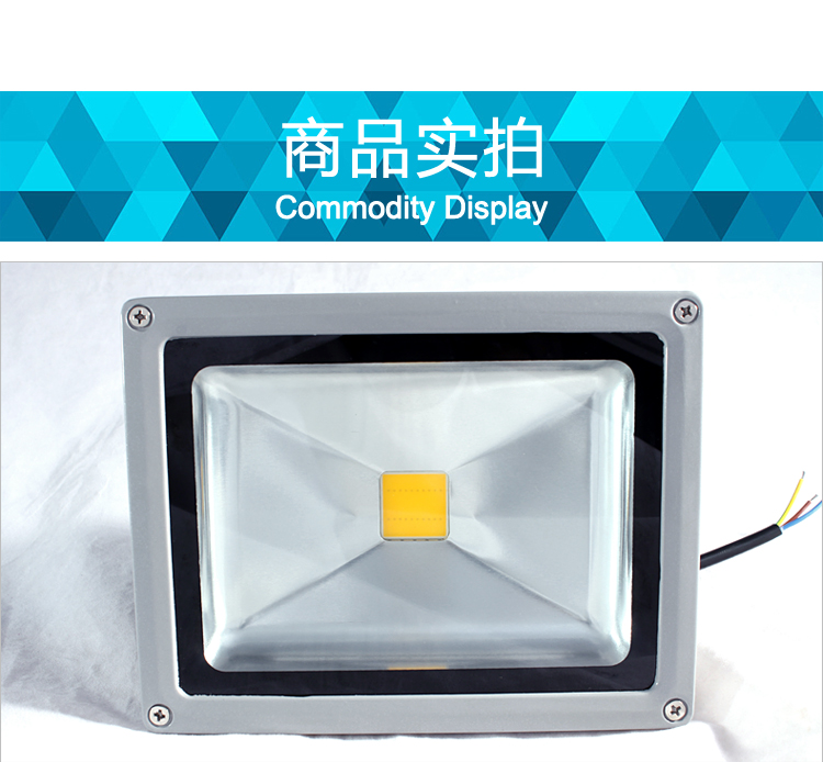 
                                        温漫led投光灯20w30w50w100w户外投射泛光灯广告灯照明灯防水 正白光 100W                