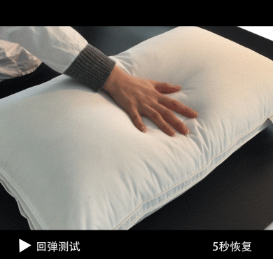 啄木鸟(tucano)家纺 全棉可水洗枕头 纯棉枕芯五星酒店专用 五星酒店