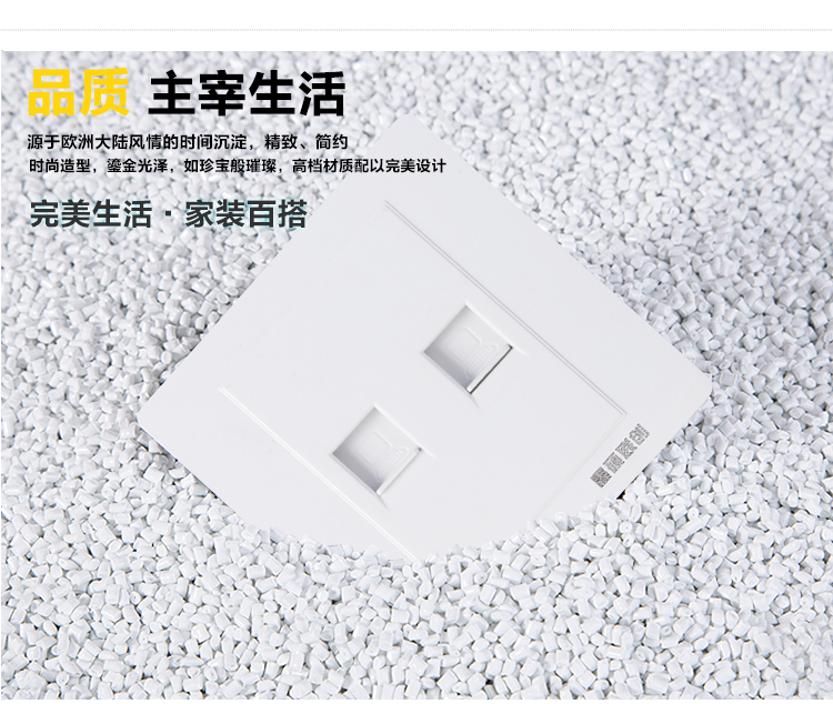鑫硕联创两位双电脑网线插座 S52系列面板 雅白S600