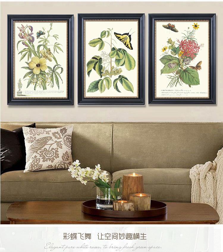 有家装饰画客厅餐厅三联挂画美式乡村蝴蝶小清新植物花卉卧室有框画 B款单幅 高70*宽55cm实木框装裱