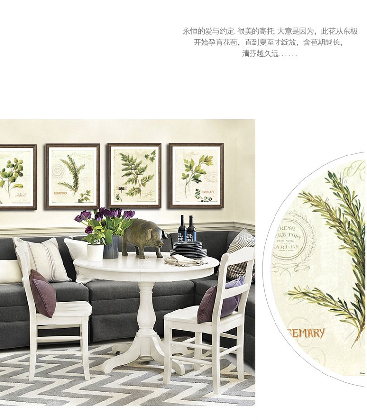 名帛 现代简约美式客厅装饰画沙发背景墙装饰画卧室风景画玄关挂画餐厅壁画植物有框画欧式植物画 C款 进口画芯