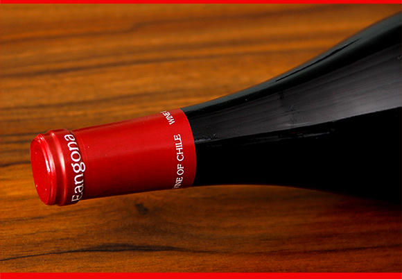 原瓶原装进口 智利 红酒安歌娜女神干红葡萄酒