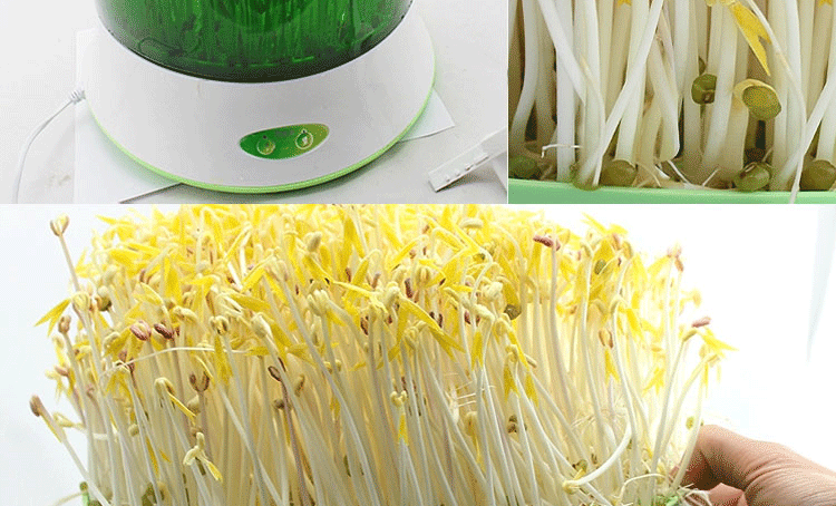 1 微品多全自动四季家用智能双层豆芽机 多功能生豆芽机商用家用生日礼物 创意礼品送长辈