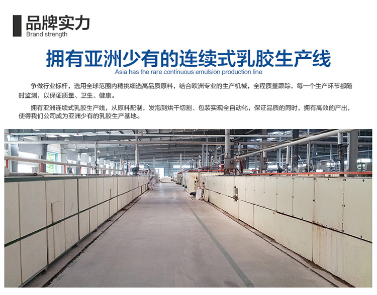 
                                        曲眠 椰棕乳胶床垫 进口斯里兰卡椰棕床垫 棕垫席梦思床垫  软硬可定做 6cm厚(含内外套) 190cm*150cm                