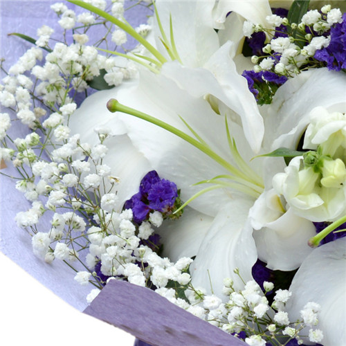 鲜花速递百合花 生日送女友朋友同事妈妈香水