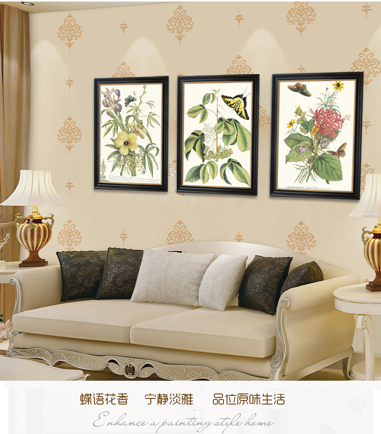 有家装饰画客厅餐厅三联挂画美式乡村蝴蝶小清新植物花卉卧室有框画 B款单幅 高70*宽55cm实木框装裱